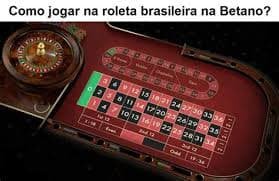 toto313